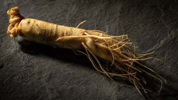 Raíz de ginseng, uno de los extractos botánicos del sérum Fylash