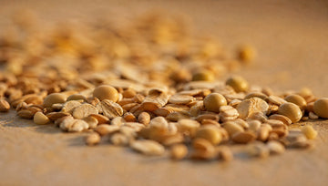 Avena, trigo y soja: origen de las proteínas vegetales hidrolizadas